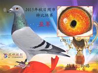 ɽ���������Ÿ�Э��