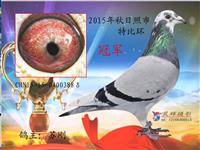 ɽ���������Ÿ�Э��