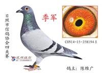 ɽ���������Ÿ�Э��