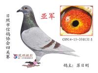 ɽ���������Ÿ�Э��