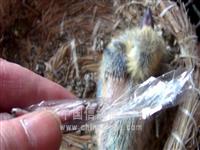 ����ʡ�������Ÿ�Э��