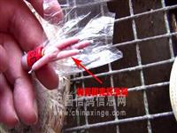 ����ʡ�������Ÿ�Э��