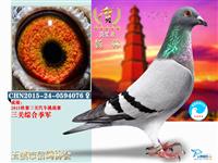 ������Ϫ���Ÿ�Э��