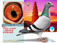 ������Ϫ���Ÿ�Э��