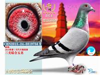 ������Ϫ���Ÿ�Э��