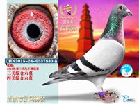 ������Ϫ���Ÿ�Э��