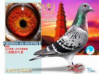 ������Ϫ���Ÿ�Э��