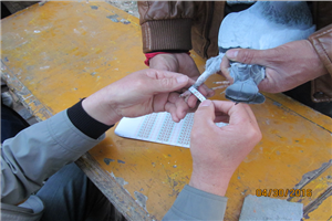 ����ʡ���Ƹ��к������Ÿ�Э��