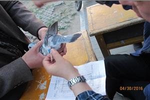 ����ʡ���Ƹ��к������Ÿ�Э��