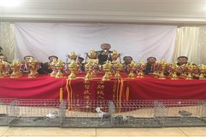 �����������������Ÿ�Э��