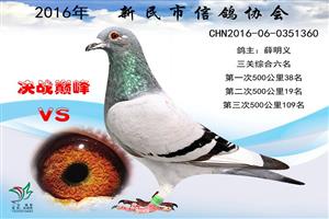 ����ʡ�������Ÿ�Э��