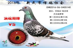 ����ʡ�������Ÿ�Э��