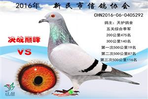 ����ʡ�������Ÿ�Э��