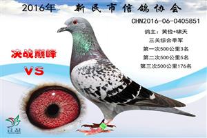 ����ʡ�������Ÿ�Э��