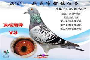 ����ʡ�������Ÿ�Э��