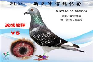 ����ʡ�������Ÿ�Э��