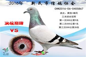 ����ʡ�������Ÿ�Э��