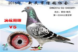 ����ʡ�������Ÿ�Э��