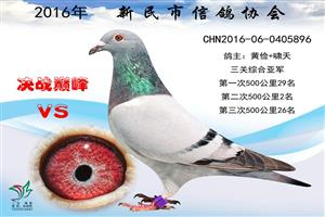 ����ʡ�������Ÿ�Э��