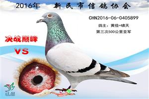 ����ʡ�������Ÿ�Э��