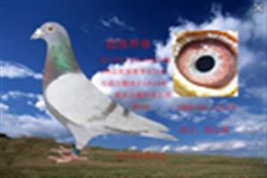 ɽ���������Ÿ�Э��