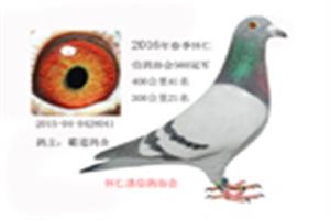 ɽ���������Ÿ�Э��