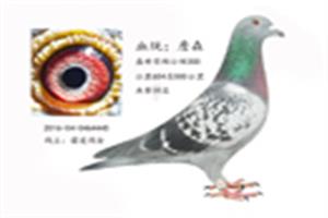 ɽ���������Ÿ�Э��