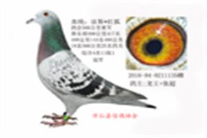 ɽ���������Ÿ�Э��