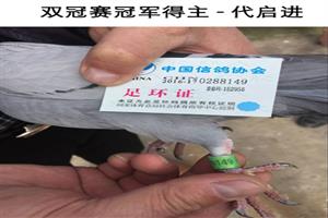 ����ʡ�������Ÿ�Э��