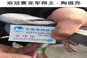 ����ʡ�������Ÿ�Э��