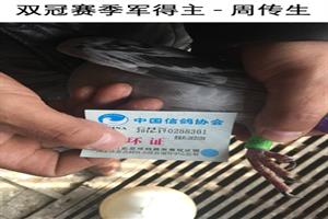 ����ʡ�������Ÿ�Э��