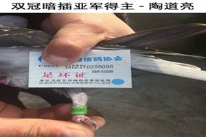 ����ʡ�������Ÿ�Э��