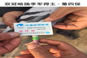 ����ʡ�������Ÿ�Э��