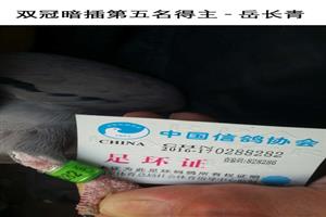 ����ʡ�������Ÿ�Э��