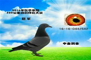 ����ʡ����Ͽ���Ÿ�Э��