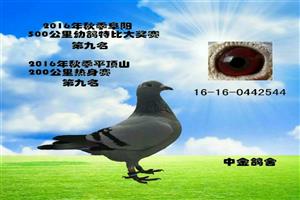 ����ʡ����Ͽ���Ÿ�Э��