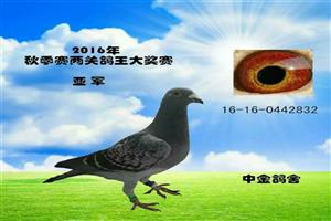 ����ʡ����Ͽ���Ÿ�Э��