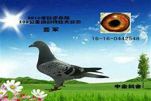 ����ʡ����Ͽ���Ÿ�Э��