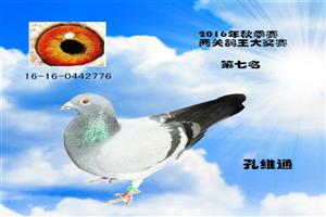 ����ʡ����Ͽ���Ÿ�Э��