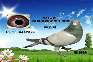 ����ʡ����Ͽ���Ÿ�Э��