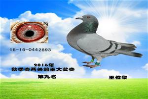 ����ʡ����Ͽ���Ÿ�Э��