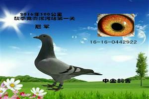 ����ʡ����Ͽ���Ÿ�Э��