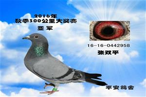 ����ʡ����Ͽ���Ÿ�Э��