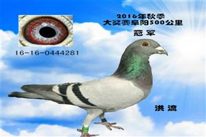 ����ʡ����Ͽ���Ÿ�Э��