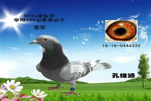 ����ʡ����Ͽ���Ÿ�Э��