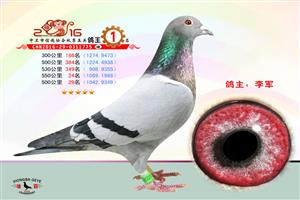 �����������Ÿ�Э��