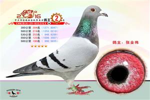 �����������Ÿ�Э��