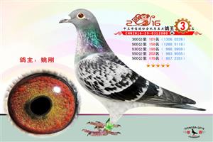 �����������Ÿ�Э��