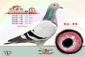 �����������Ÿ�Э��