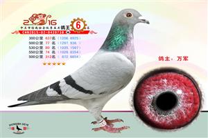 �����������Ÿ�Э��